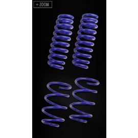AP lowering springs VW Polo Classic (6KV) inclusive Variant